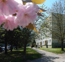 Top renovierte 3-Raum-Wohnung - 540,00 EUR Kaltmiete, ca.  60,00 m² Wohnfläche in Schkeuditz (PLZ: 04435)