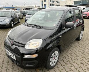 Fiat Panda 1.2 Pop/TÜV/Klima/Voll Serviceheft gepflegt Gebrauchtwagen
