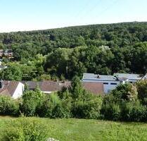 Helle 2 ZKB-Wohnung 69 qm - 760,00 EUR Kaltmiete, in Bad Dürkheim (PLZ: 67098)