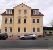 Vermiete frisch renovierte 2 Zimmer Wohnung rechts d. Elbe - Sassenburg