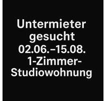 1-Zimmer Studio-Whg zur Untermiete (befristet) - Hamburg Hamburg-Mitte