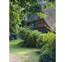 Großes Grundstück mit sanierten Reetdach Haus - Neuenkirchen