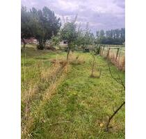 Kleiner Garten – wir verpachten unser Grundstück in Zülpich-Geich