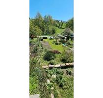 Garten in Leubnitz - 950,00 EUR Kaltmiete, ca.  0,00 m² in Dresden (PLZ: 01219) Prohlis