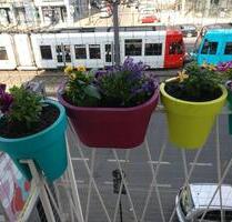 *Salierring* Bezugsfreie 5-Zi-Whg., 118m², 2.OG, Lift, Stellplatz - Köln Innenstadt