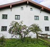 Wohnung auf Pferdehof 2,5 Zimmer - Maitenbeth