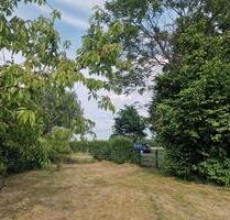 Pachtgarten Kleingarten in Schildau - Belgern-Schildau