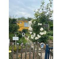 Kleingarten in der Kleingartensparte Elbtalblick - Meißen