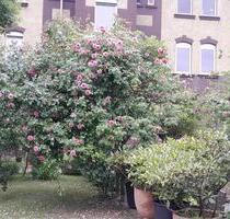 Bezugsfertige 2,5 Z Wohnung - 450,00 EUR Kaltmiete, in Dortmund (PLZ: 44145) Innenstadt Nord