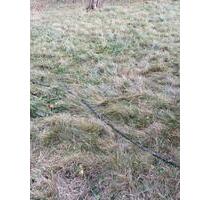 80m2, möbeliert,inkl Küche,hell für Paare 2WG - Geratal Geraberg