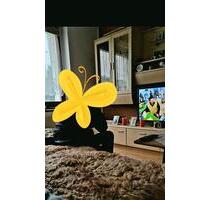 2 Raum Wohnung - 450,00 EUR Kaltmiete, in Dippoldiswalde (PLZ: 01744)