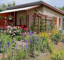 Gepflegter Kleingarten 285 m2 - 2.500,00 EUR Kaltmiete, ca.  0,00 m² in Jacobsdorf (PLZ: 15236)