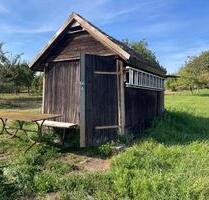 ➤ Garten Grundstück zu verpachten → mit Gartenhaus → Wendlingen - Wendlingen am Neckar
