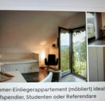 Möbliertes 1-Zimmer-Einliegerappartement inkl. Bad+Küche - Aichach