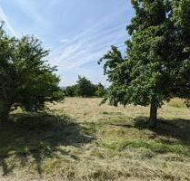 Wiese Freizeitgrundstück Grundstück Stückle Bietigheim Baumwiese - Bietigheim-Bissingen