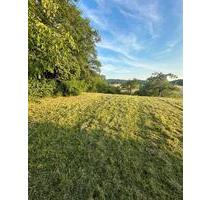 Gartengrundstück Dimbach - 60,00 EUR Kaltmiete, ca.  0,00 m² in Obersulm (PLZ: 74182)