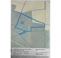 Grundstück 2,6 ha solar Photovoltaik Anhalt ökopunkte Konversion - Magdeburg
