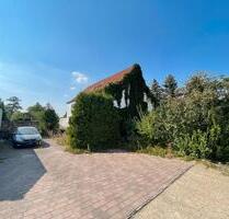 Neues zu Hause für die handwerklich, geschickte Großfamilie - Falkenberg/Elster