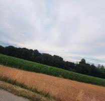 Ackerfläche in der Gemeinde Leiblfing - Straubing