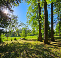 Dein Natur-Freizeitgrundstück am See – nur 30 Min. von Schwabing - Erding