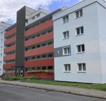 Helle, frisch modernisierte 2-Zimmer-Wohnung mit Balkon und Aufzug (2. OG) - Osnabrück Fledder