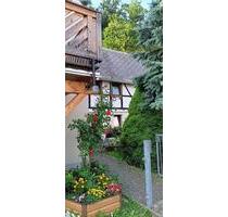 Großzügiges freistehendes Einfamilienhaus in Rothenfurth - Großschirma