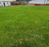 KFZ-Autohandel Grundstück + Büro 1.000qm - Nagold