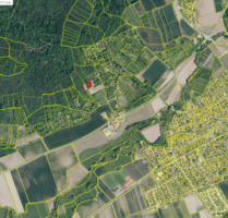 Wald-Wiesen-Grundstück am Distelberg, Pettstadt - Püchersreuth Ilsenbach