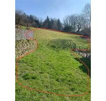 Gartengrundstück Koppel Wiese ca 800qm in Kronberg - Oberursel (Taunus)