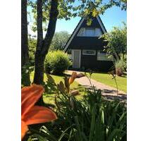 Ferienhaus in Damp an der Ostsee zu vermieten!☀️☀️