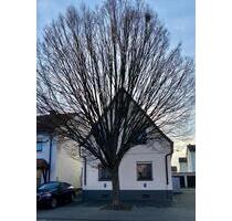 Schöne, helle Wohnung mit Küche - Dannstadt-Schauernheim
