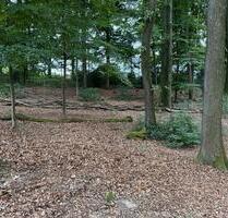Waldgrundstück in Wermelskirchen zu Verpachten - Solingen Mitte