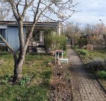 Kleingarten mit Gartenlaube - 2.500,00 EUR Kaltmiete, ca.  0,00 m² in Cottbus (PLZ: 03046)