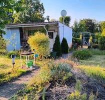 Kleingarten mit Gartenlaube - 2.000,00 EUR Kaltmiete, ca.  0,00 m² in Cottbus (PLZ: 03046)