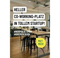Co-Working-Platz in nettem Startup in Bremen Horn