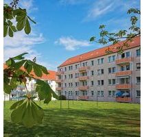 *Mit Highspeed ins neue Heim!* - 296,00 EUR Kaltmiete, ca.  47,00 m² in Freiberg (PLZ: 09599)