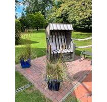 Ferienwohnung Ostfriesland mit Hund Urlaub Ferienhaus - Ostrhauderfehn