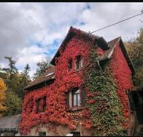 Einfamilienhaus in der Natur - 125.000,00&nbsp;EUR Kaufpreis, ca.&nbsp; 100,00&nbsp;m&sup2; in Niederkirchen (PLZ: 67700) Heimkirchen