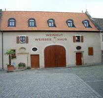 großzügige 3,5 ZKB, Terrasse in herrschaftlichem Anwesen - Neustadt an der Weinstraße Duttweiler