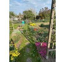 266 m2 Schrebergarten Kleingartenverein Paul Hinzer e. V. - Meißen