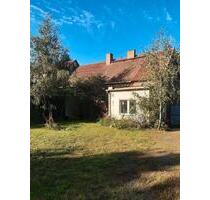 Haus mit großem Grundstück - 96.000,00 EUR Kaufpreis, in Doberlug-Kirchhain (PLZ: 03253)