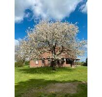 Alleinlage, Badestelle & Hofidylle - Laage