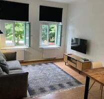 Voll möblierte 2–Zimmerwohnung direkt am Lene–Voigt–Park ab Juli - Leipzig Südost
