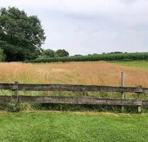kleine Wiese zu verpachten - 300,00 EUR Kaltmiete, ca.  0,00 m² in Preetz (PLZ: 24211)