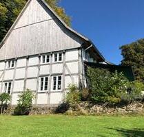 2 Zimmer, Garten und Gemeinschaft - Detmold Hiddesen