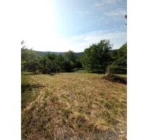 Baumwiese Gütle in Schorndorf - 5.000,00 EUR Kaltmiete, ca.  0,00 m² in Schorndorf (PLZ: 73614)