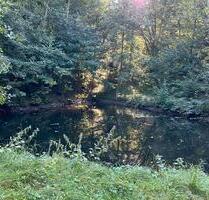 Weiher Teichgrundstück Fischteich - Eschenburg