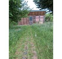 Pachtgarten - 85,00 EUR Kaltmiete, ca.  0,00 m² in Osternienburger Land (PLZ: 06386)