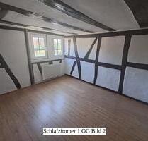 DHH mit direkten Blick auf den Neckar in Hirschhorner Altstadt - Hirschhorn (Neckar)