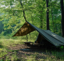 BUSHCRAFT Waldgrundstück an der Mosel zu verpachten - Köln Kalk
